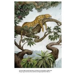 Kinderbuch - Der Wald Ohne B&auml;ume Von Jupitermond -Babyprodukte Geschäft hersteller jupitermond der wald ohne baeume 4