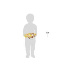 Legler Holz Regenbogen Bunt 5 Legler Holz Regenbogen Bunt -Babyprodukte Geschäft hersteller legler holz regenbogen bunt 16 x 9 x 3 cm 23