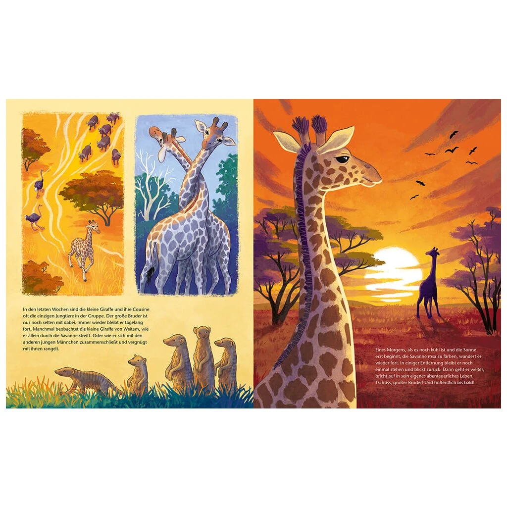 Magellan Kinder-Buch Die Kleine Giraffe 2 Magellan Kinder-Buch Die Kleine Giraffe – Bild 2