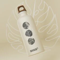 SIGG Trinkflasche Traveller MyPlanet Forward 0.6 L